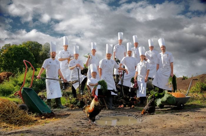 the swedish team culinary world cup 2018 the swedish team culinary world cup 2018