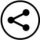 share-icon share-icon