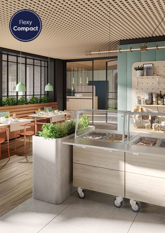 flexy-compact-emotional-picture servery line flexy compact