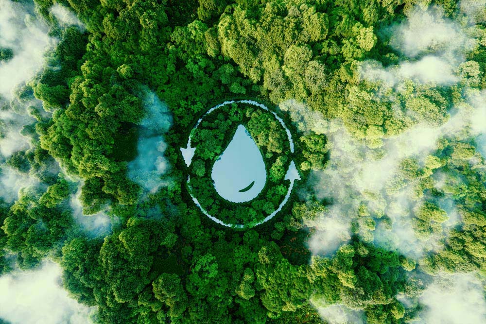 Sustainability-1000x667 Sustainability-1000x667
